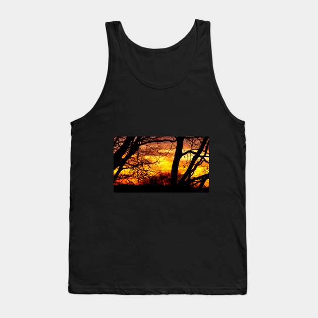 Sunset through the Trees Tank Top by Nicole Gath Photography